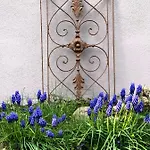 Apartment Altes Pfarrhaus